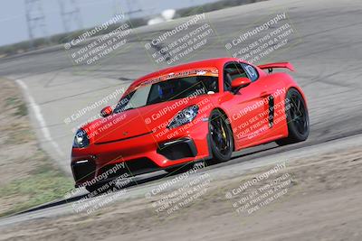 media/Oct-21-2023-Speed Ventures (Sat) [[ddf75163c5]]/Green/Grapvine/